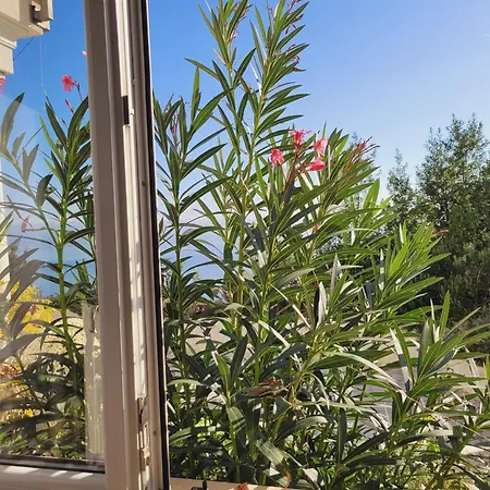 Apartment Chiara Mit Meerblick Und Pool Und Jacuzzi *